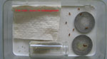 Abb. 5: Tests von repellierenden Substanzen gegen Ameisen	