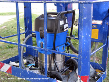 Abb. 7: Spezielle Industriestaubsauger werden eingesetzt um die Gespinstnester und Raupen des Eichenprozessionsspinners (Thaumetopoea processionea) einzusaugen.