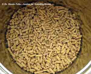 Abbildung 4: Brotkäferbefall (Stegobium paniceum) in einer Dose mit Fischfutter