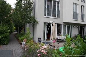 Abbildung 5: Der weitere Weg der Ameisenstraße führte zunächst entlang der Terrasse, dann über einen gepflasterten Weg und schließlich in die dort befindlichen Hecken