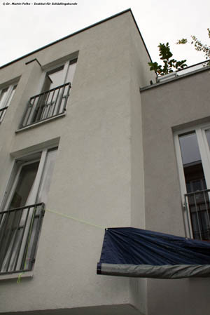 Abbildung 4: Zunächst liefen die Kippleibameisen-Arbeiterinnen vom Dach bis zur Terrasse im Erdgeschoß