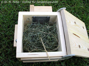 Abbildung 4: Das Innere der Falle ist mit trockenem Heu gefüllt. Der Maulwurf (Talpa europaea) hat so die Möglichkeit ein wärmeisolierendes Schlafnest zu bauen