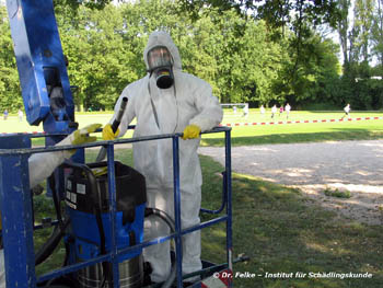 Abbildung 7: Bei allen Arbeiten mit dem Eichenprozessionsspinner (Thaumetopoea processionea) müssen Schutzanzüge und Atemschutz verwendet werden