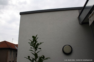Abbildung 3: Die Kippleibameisen hatten ihr Nest im Dachbereich des Flachdach-Hauses angelegt