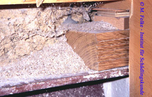 Abbildung 5: Von einer Kolonie der Braunen Wegameise (Lasius brunneus) besiedelte Zwischendecke. Deutlich sind die von den Ameisen nach außen transportierten, stark zerkleinerten Styroporreste zu erkennen.